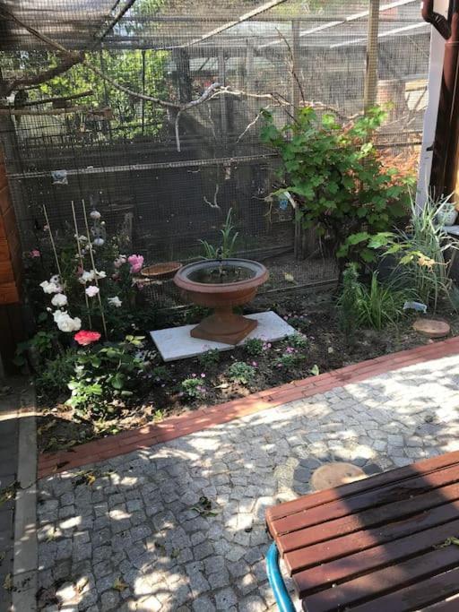 Unser Studio-Apartment "Wohlfuehloase" Oranienburg Eksteriør bilde